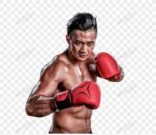 包含拳击附加赛上演强强对话，西城犀牛队强势反弹闽南飞鹰队，团队配合流畅；赛季拐点或已出现的词条